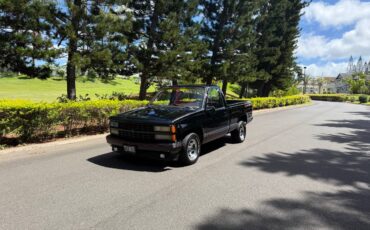 Chevrolet-silverado-1500-1991-12