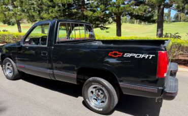 Chevrolet-silverado-1500-1991-18