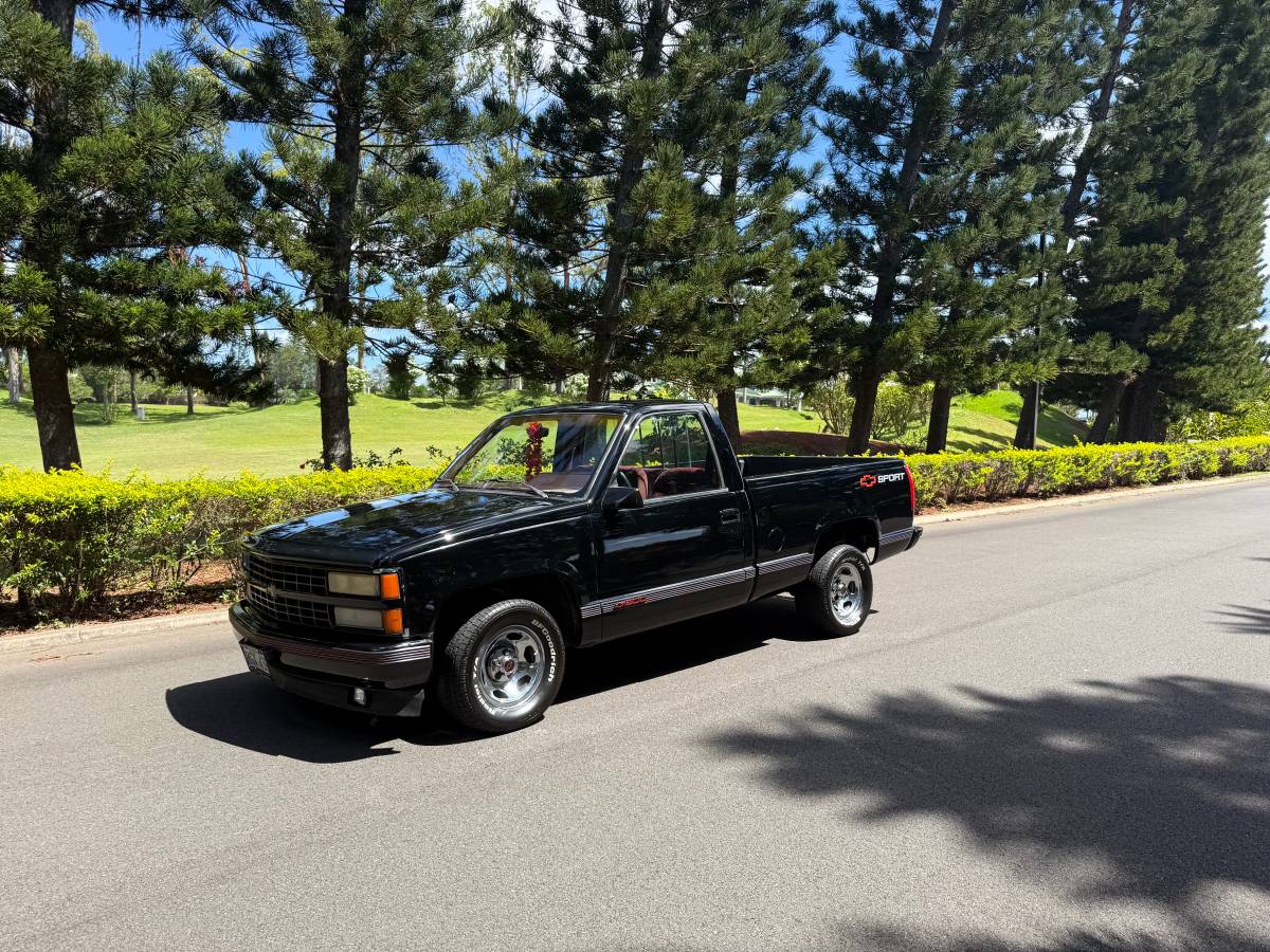 Chevrolet-silverado-1500-1991-24