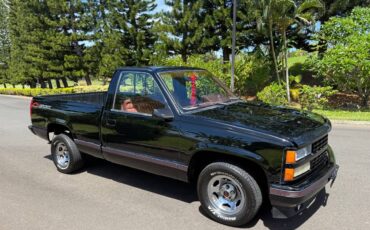 Chevrolet-silverado-1500-1991-6