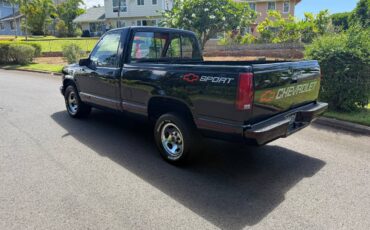 Chevrolet-silverado-1500-1991-9