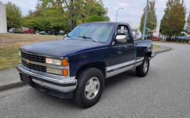 Chevrolet-silverado-1500-1994-blue