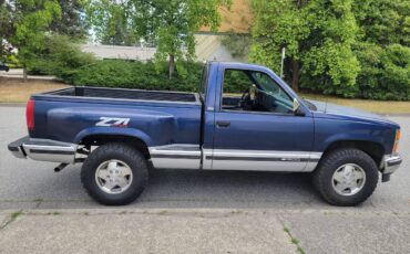 Chevrolet-silverado-1500-1994-blue-4