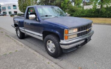 Chevrolet-silverado-1500-1994-blue-5