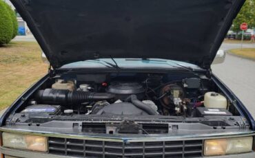 Chevrolet-silverado-1500-1994-blue-7