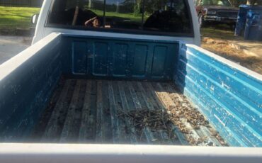 Chevrolet-silverado-1500-1994-grey-3