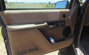 Chevrolet-silverado-1500-gmc-1994-blue-8