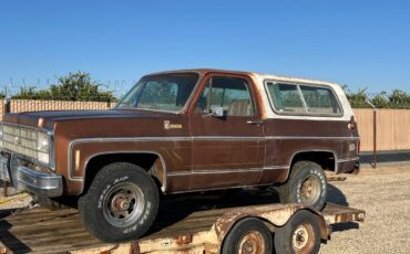 Chevrolet-silverado-1980-5
