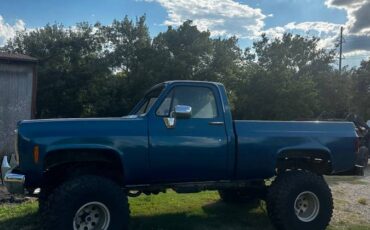 Chevrolet-silverado-1980-blue-1