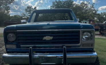Chevrolet-silverado-1980-blue-2