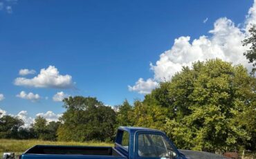 Chevrolet-silverado-1980-blue-3