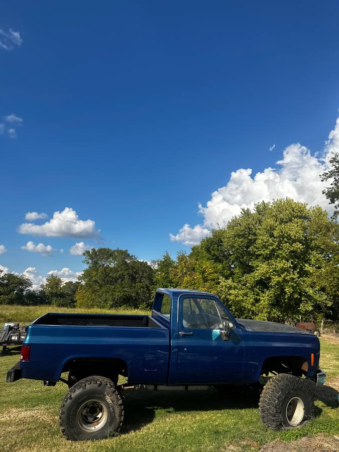 Chevrolet-silverado-1980-blue-3