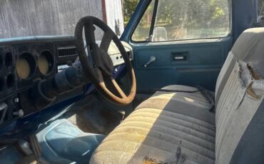 Chevrolet-silverado-1980-blue-5