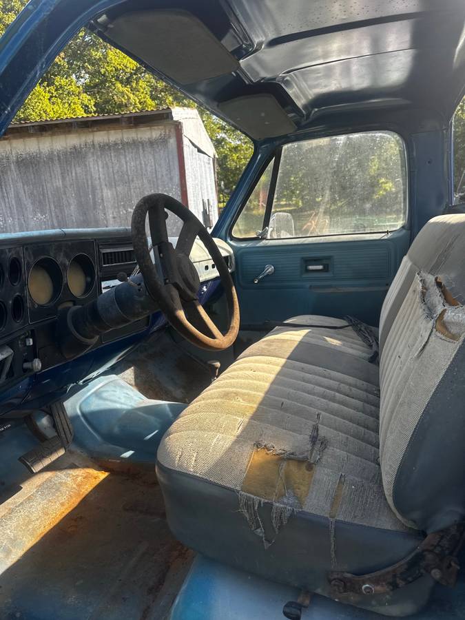 Chevrolet-silverado-1980-blue-5