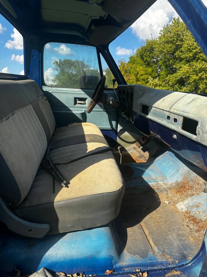 Chevrolet-silverado-1980-blue-6