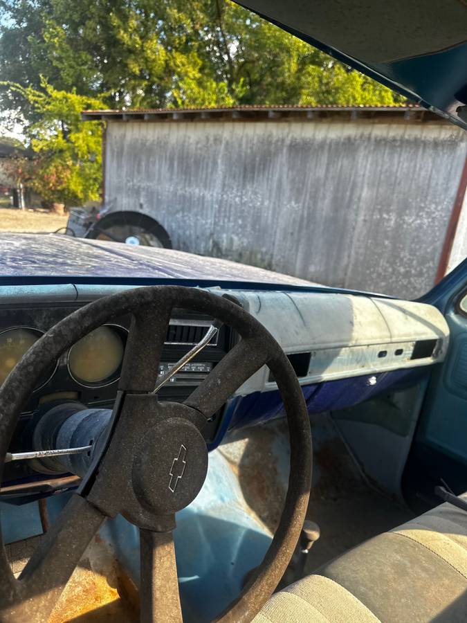 Chevrolet-silverado-1980-blue-9