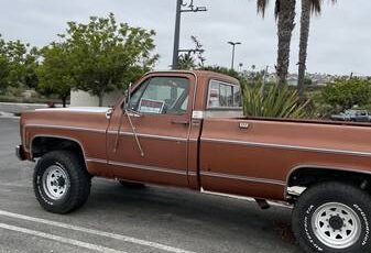 Chevrolet-silverado-k20-4x4-1978-brown-4