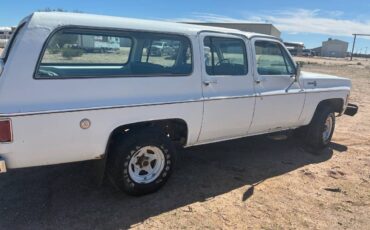 Chevrolet-suburban-1500-1977-white-19
