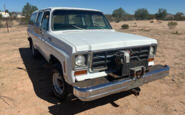 Chevrolet-suburban-1500-1977-white-3