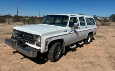 Chevrolet-suburban-1500-1977-white-4