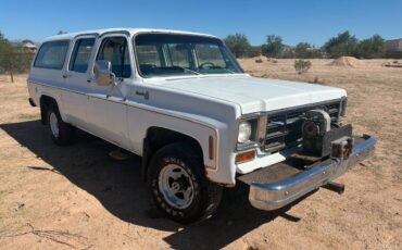 Chevrolet-suburban-1500-1977-white-8