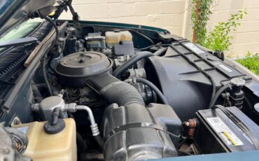 Chevrolet-truck-1500-1995-green-2