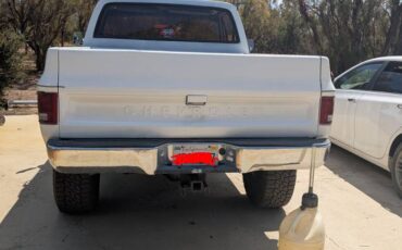 Chevrolet-truck-1973-white-1