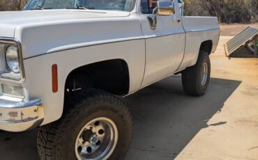 Chevrolet-truck-1973-white-2