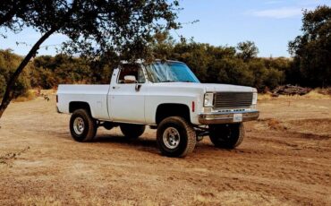 Chevrolet-truck-1973-white-5
