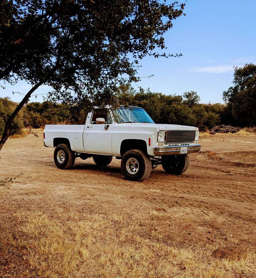 Chevrolet-truck-1973-white-5
