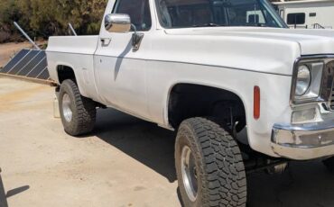 Chevrolet-truck-1973-white-6