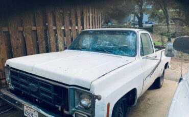 Chevrolet-truck-camper-special-1975