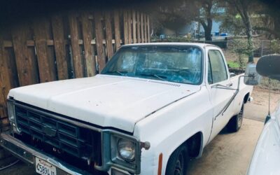 Chevrolet truck camper special 1975