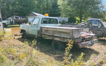 Chevy-12-ton-4x4-1978-green-1