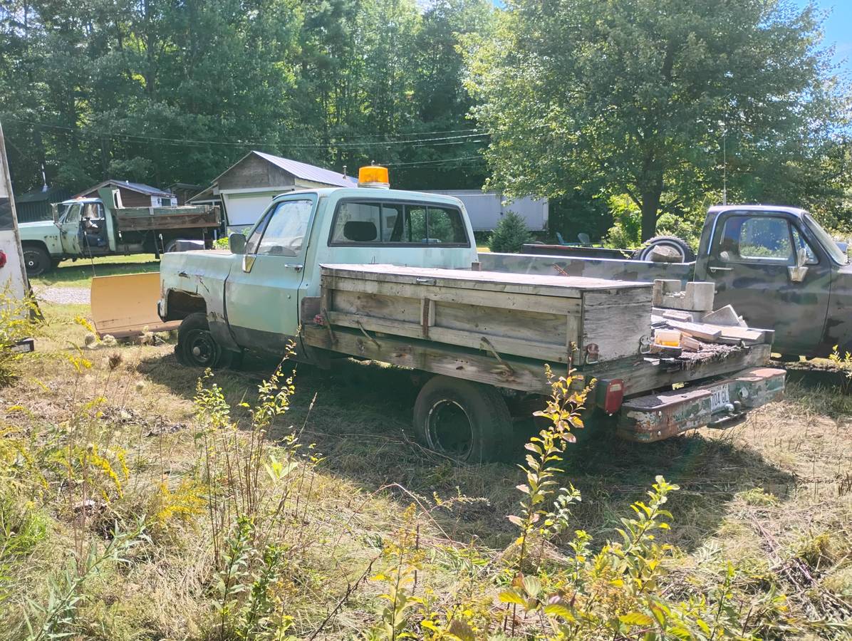 Chevy-12-ton-4x4-1978-green-1