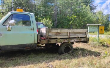 Chevy-12-ton-4x4-1978-green-2