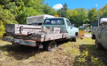 Chevy-12-ton-4x4-1978-green-3