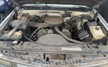 Chevy-1500-1995-white-9