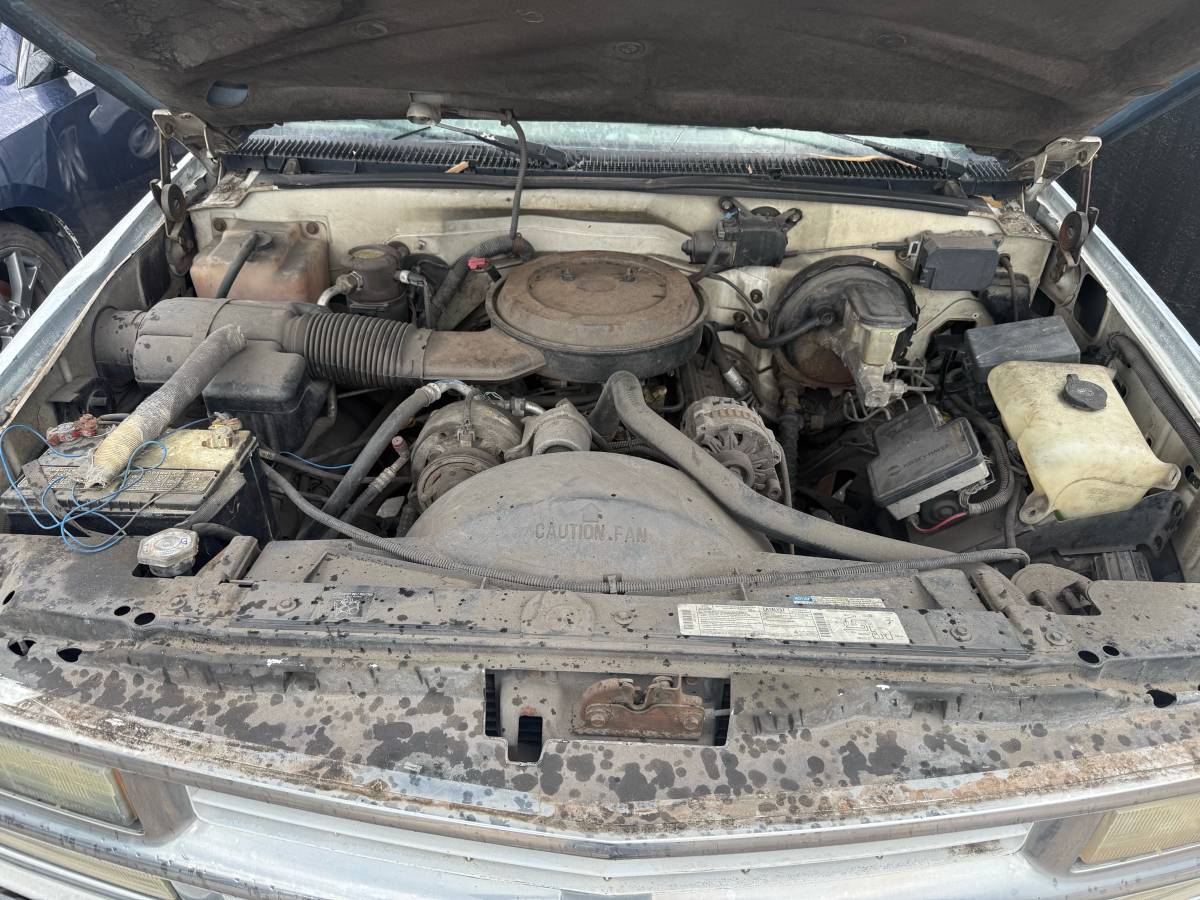 Chevy-1500-1995-white-9