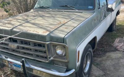 Chevy 1978