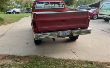 Chevy-1979-3
