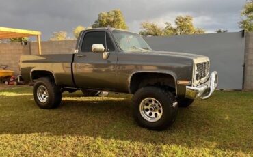 Chevy-1984-grey-4