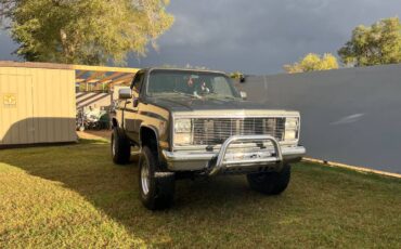 Chevy-1984-grey-5