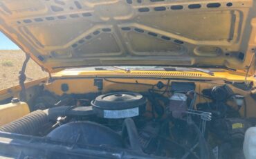 Chevy-1989-yellow-3