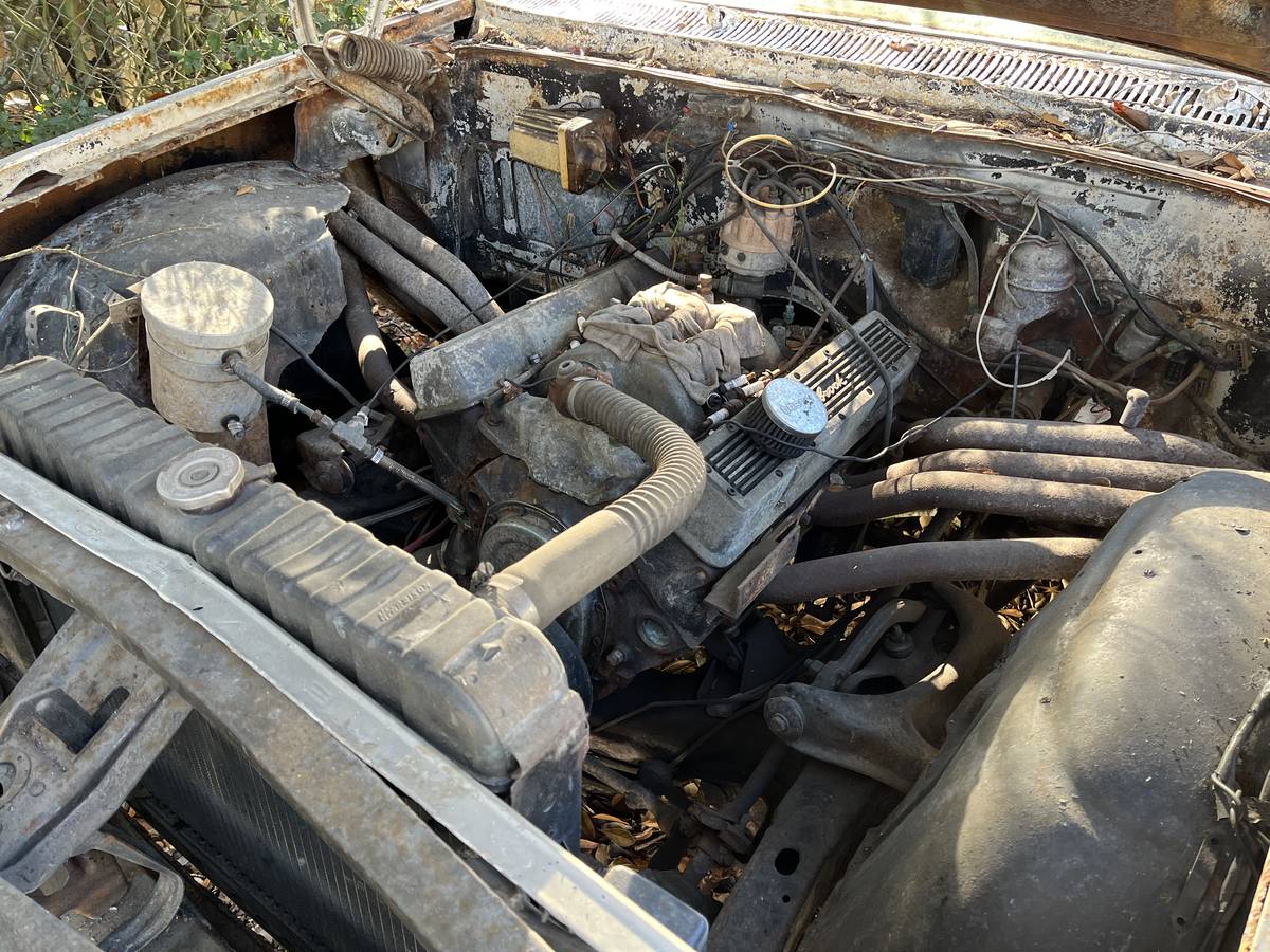 Chevy-biscayne-1962-white-3