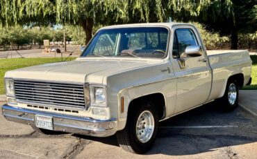 Chevy-c10-1975-white-3