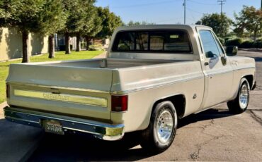 Chevy-c10-1975-white