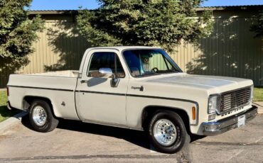 Chevy-c10-1975-white-7