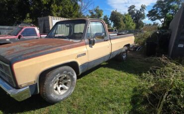 Chevy-c10-1983-9