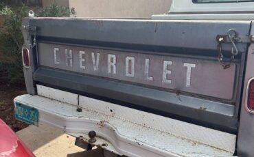 Chevy-c10-truck-1965-grey-7